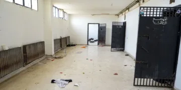 Türkiye Gençlik Platformu, Sednaya’da