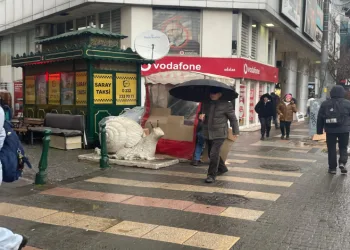 Eskişehir’de yağış etkili oldu
