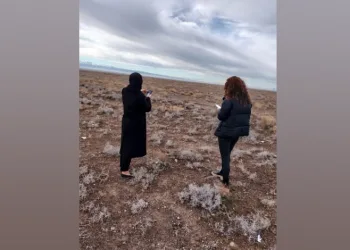 Ereğli’de arı konaklama yerleri belirlendi