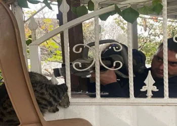 Patisi korkuluğa sıkışan kediyi itfaiye kurtardı
