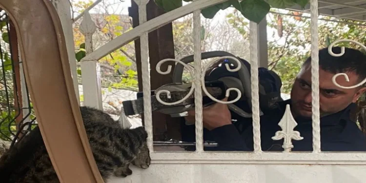 Patisi korkuluğa sıkışan kediyi itfaiye kurtardı