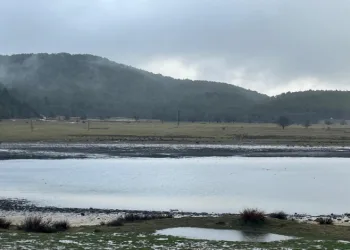 Yayla Gölü yağışlarla can buldu