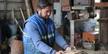 Devrilen ağaçlar yakacak olarak kullanılacak