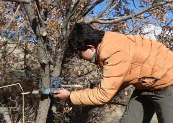 7 yaşından beri yaban hayatını kayıt altına alıyor