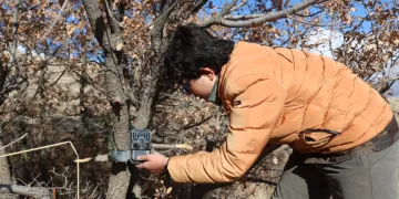 7 yaşından beri yaban hayatını kayıt altına alıyor