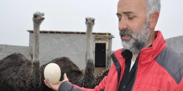 Burası Afrika değil Kars