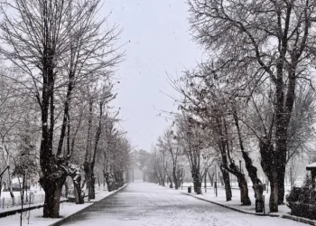 Tatvan’da kar yağışı başladı