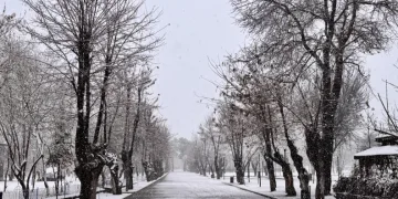 Tatvan’da kar yağışı başladı
