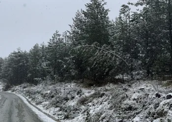 Kastamonu’da kar yağışı etkili oldu