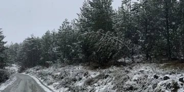 Kastamonu’da kar yağışı etkili oldu