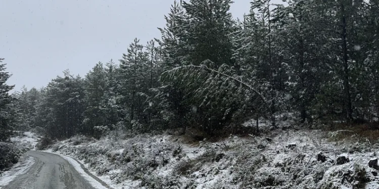 Kastamonu’da kar yağışı etkili oldu