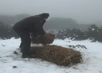 Doğal yaşam için yem bırakıldı