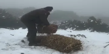 Doğal yaşam için yem bırakıldı