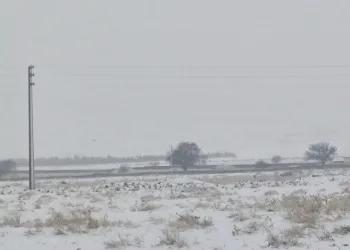 Yüksek kesimlere kar yağışı etkili olmaya devam ediyor