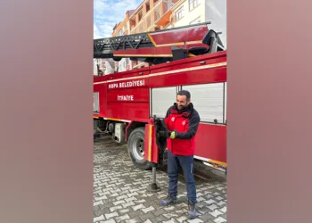 Ağaçta mahsur kalan kedi