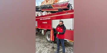Ağaçta mahsur kalan kedi