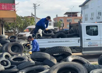Sineklerin üreme alanı lastikler toplanıyor