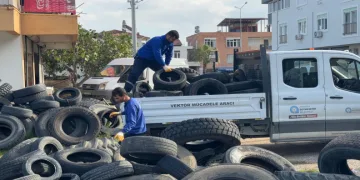 Sineklerin üreme alanı lastikler toplanıyor
