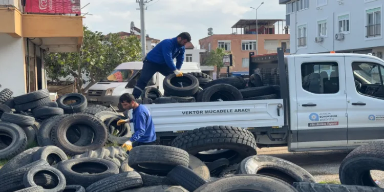 Sineklerin üreme alanı lastikler toplanıyor