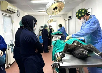 Çanakkale’de piyasa değeri 2 milyon TL olan kokain ele geçirildi