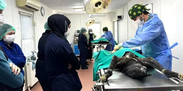 Çanakkale’de piyasa değeri 2 milyon TL olan kokain ele geçirildi