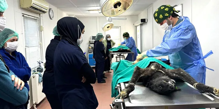 Çanakkale’de piyasa değeri 2 milyon TL olan kokain ele geçirildi