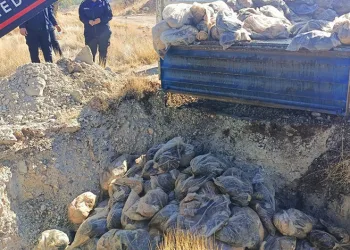 Sahte banka kartı ve kredi kartı üreten şahıs Ayvalık polisinden kaçamadı