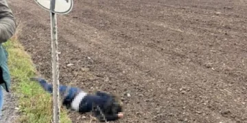 Konya’da piyasa değeri 2 milyon 500 bin lira olan uyuşturucu ele geçirildi: 1 tutuklama