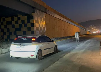 Sürücü fren yerine gaza basınca beton korkulukları yıkan araç bahçe duvarında asılı kaldı