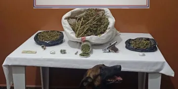 Oksijen yerine azot verilmişti; minik Ege hayata tutunamadı