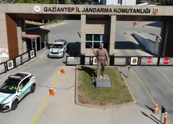 Suç makinesi kardeşleri Nazilli polisi affetmedi