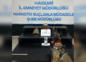 Kesinleşmiş 11 yıl cezası bulunan firariyi jandarma yakaladı