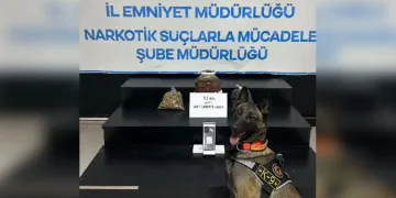 Kesinleşmiş 11 yıl cezası bulunan firariyi jandarma yakaladı