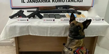 Jandarmadan uyuşturucu operasyonu: 5 gözaltı