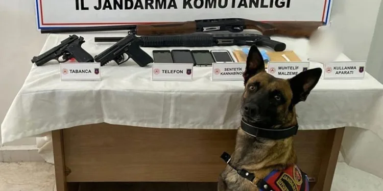 Jandarmadan uyuşturucu operasyonu: 5 gözaltı