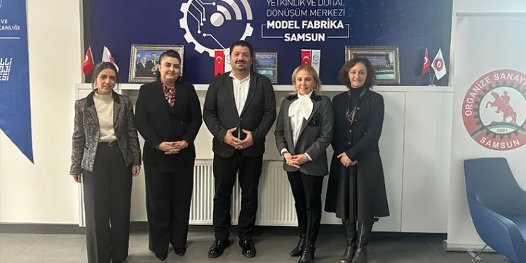 Kuru kayısıya ihracat öncesi kapsamlı inceleme