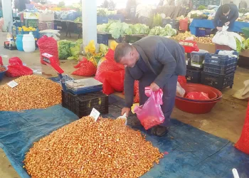 Tohumluk kuru soğanın fiyatı cep yakıyor
