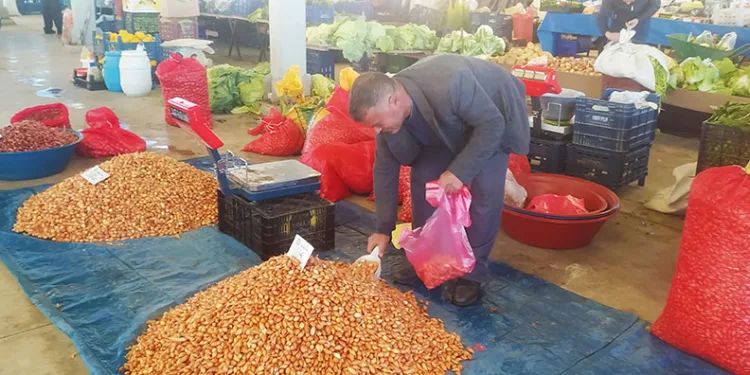 Tohumluk kuru soğanın fiyatı cep yakıyor