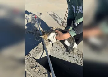 Kütahya’da sahte içki operasyonu: 1 gözaltı