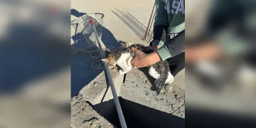Kütahya’da sahte içki operasyonu: 1 gözaltı