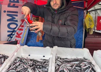 Arnavut depremzedeler Türkiye’nin inşa ettiği evlerde huzurlu bir yaşam sürdürüyor