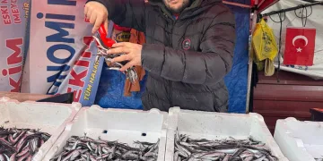 Arnavut depremzedeler Türkiye’nin inşa ettiği evlerde huzurlu bir yaşam sürdürüyor