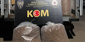 Muğla’da 2 milyon 338 bin adet makaron ele geçirildi