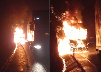 Bursa’da arıza yapan TIR alev topuna döndü