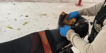 Ekmek arasında uyuşturucu yakalattı