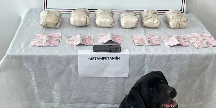 60 yaşındaki adam evinde ölü olarak bulundu