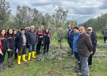 Aydın’da 1 yılda çocuklar için 115 milyon TL destek ödemesi yapıldı
