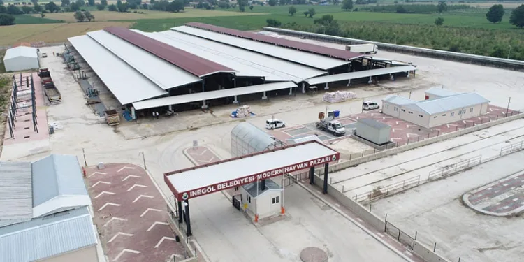 İnegöl Hayvan Pazarı geçici olarak kapatıldı