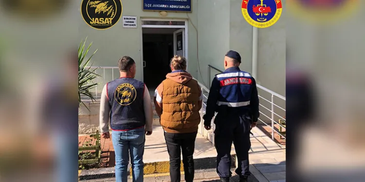 Kuyucak’ta köpek dövüşüne jandarma baskını: 3’ü organizatör, 52 şahıs yakalandı