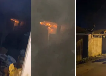 Hayvan çiftliğinde yangın: 10 tavuk 100 civciv telef oldu